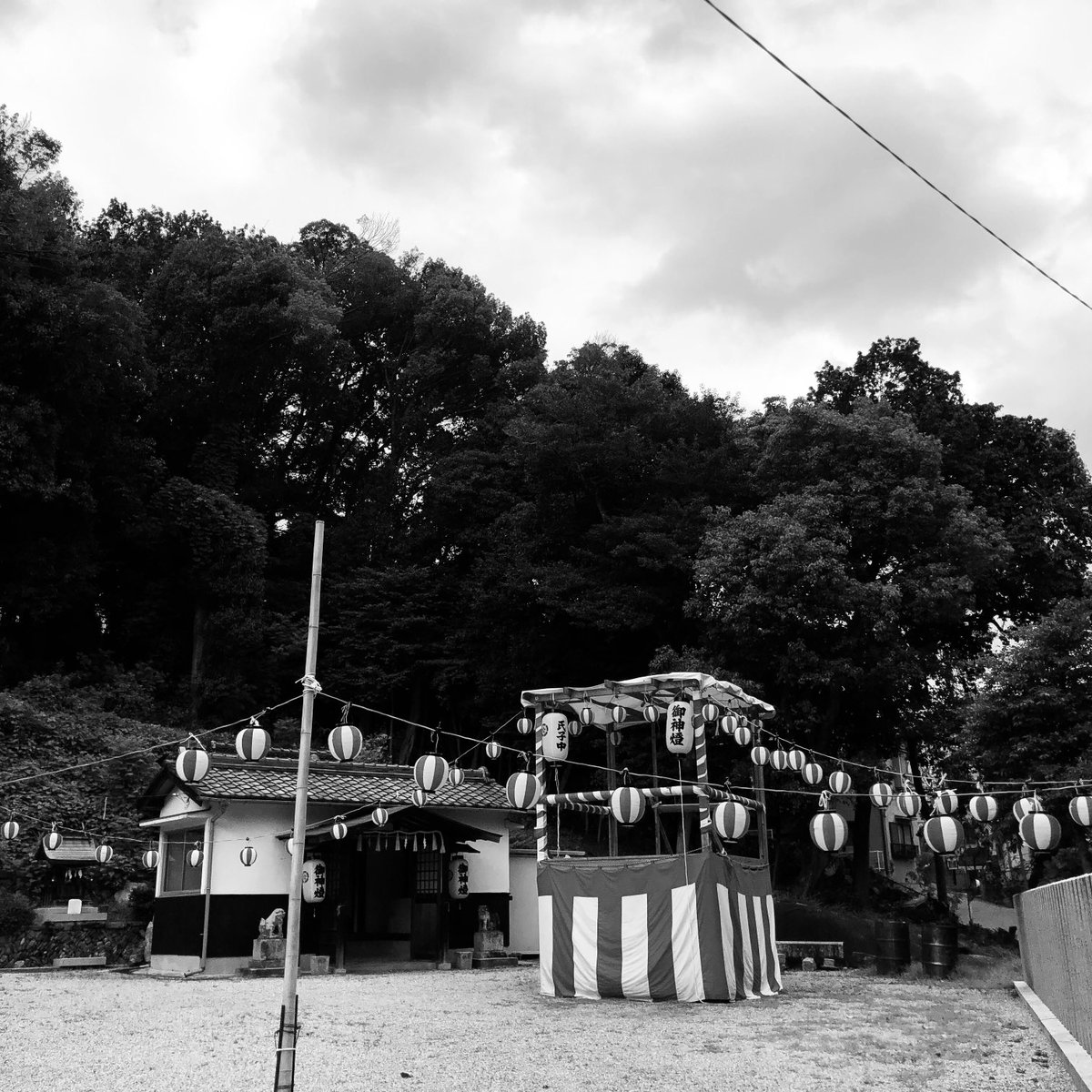 tarosuke0423's tweet image. 散歩。
