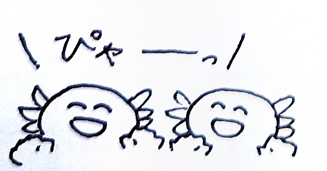 うぱさん #イラスト #日常