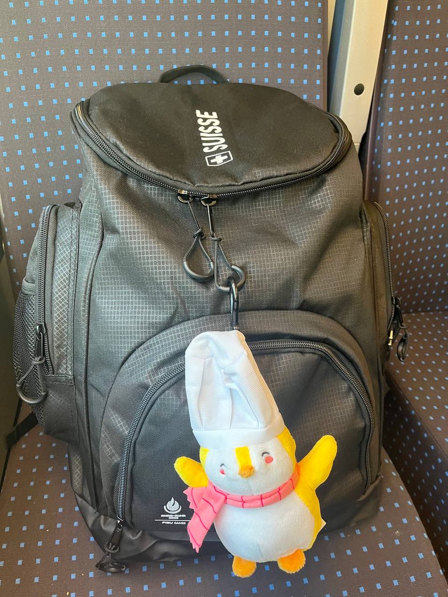 PudgySwiss's tweet image. gm everyone 🐧🇨🇭
It's exciting what's going on.
We are conquering the delegations heart with the pengus. 5 out of 10 members have already marked their rucksack with clip on.