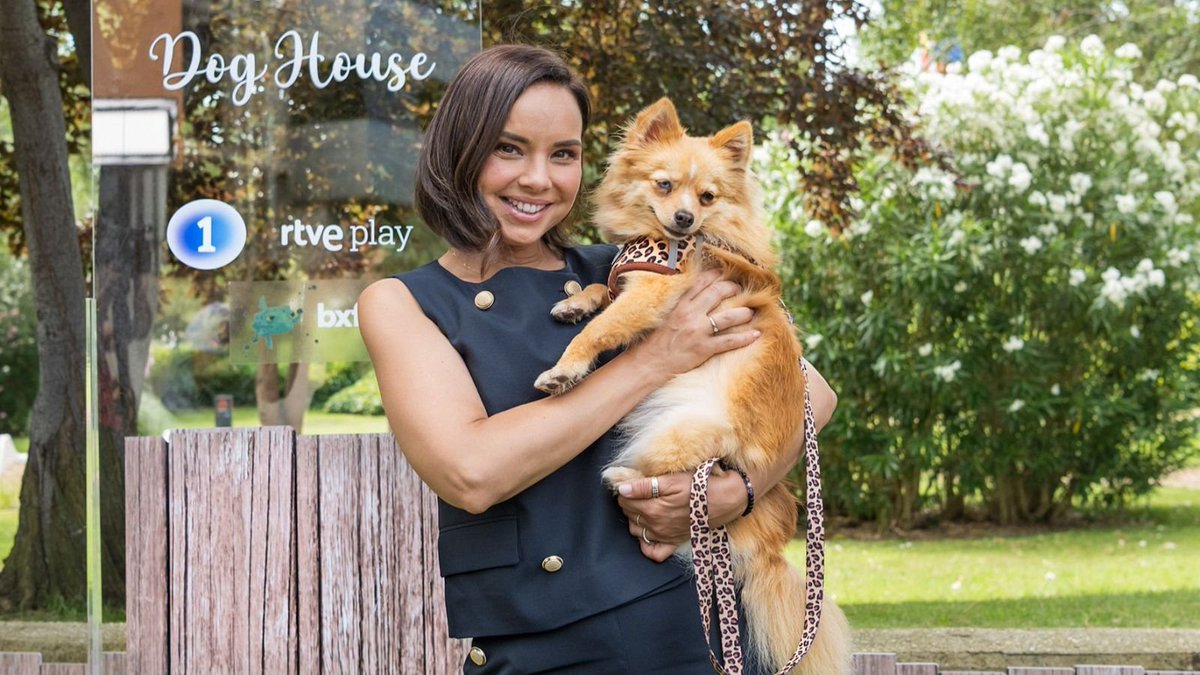 El ESTRENO de #DogHouseTVE en el prime time de @la1_tve firma un 9% de share y una media de 788.000 espectadores

🐕 Destaca en espectadores de 13 a 24 años (16.1%)

🐕 Más de 2.8 millones de espectadores conectaron en algún momento con el programa

#QueVivaLaTele #Audiencias