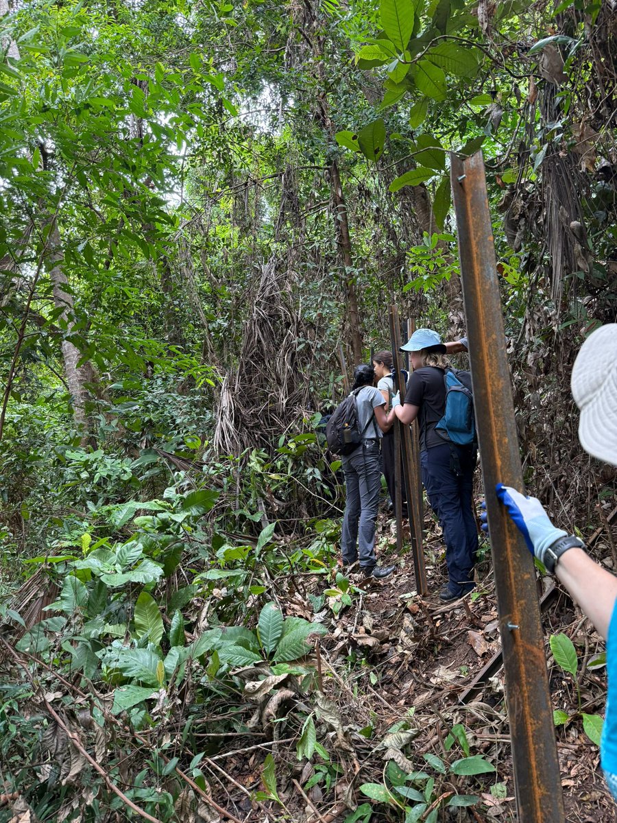 Ponteland High tweet media