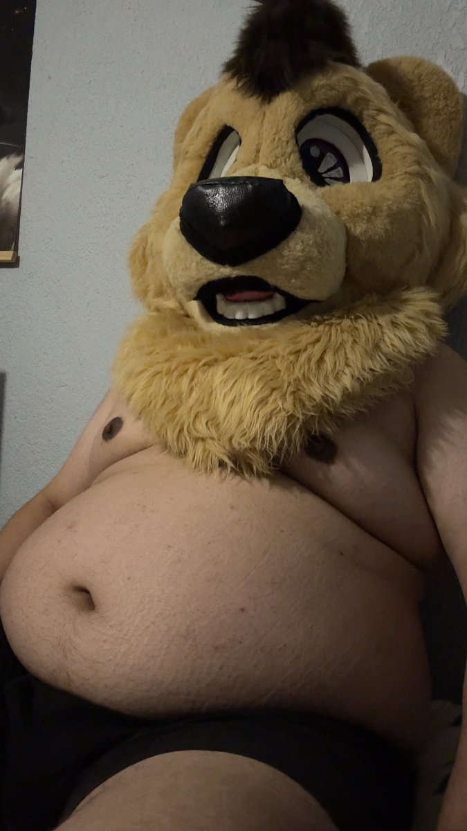 ElOsoNeowo's tweet image. #TummyTuesday 🐻
