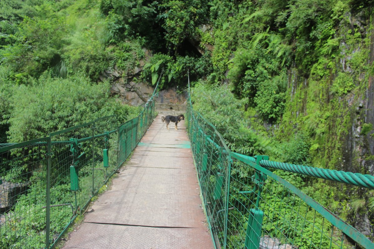 AtitBhardwaj's tweet image. KAILASH MANSAROVER YATRA #KMY