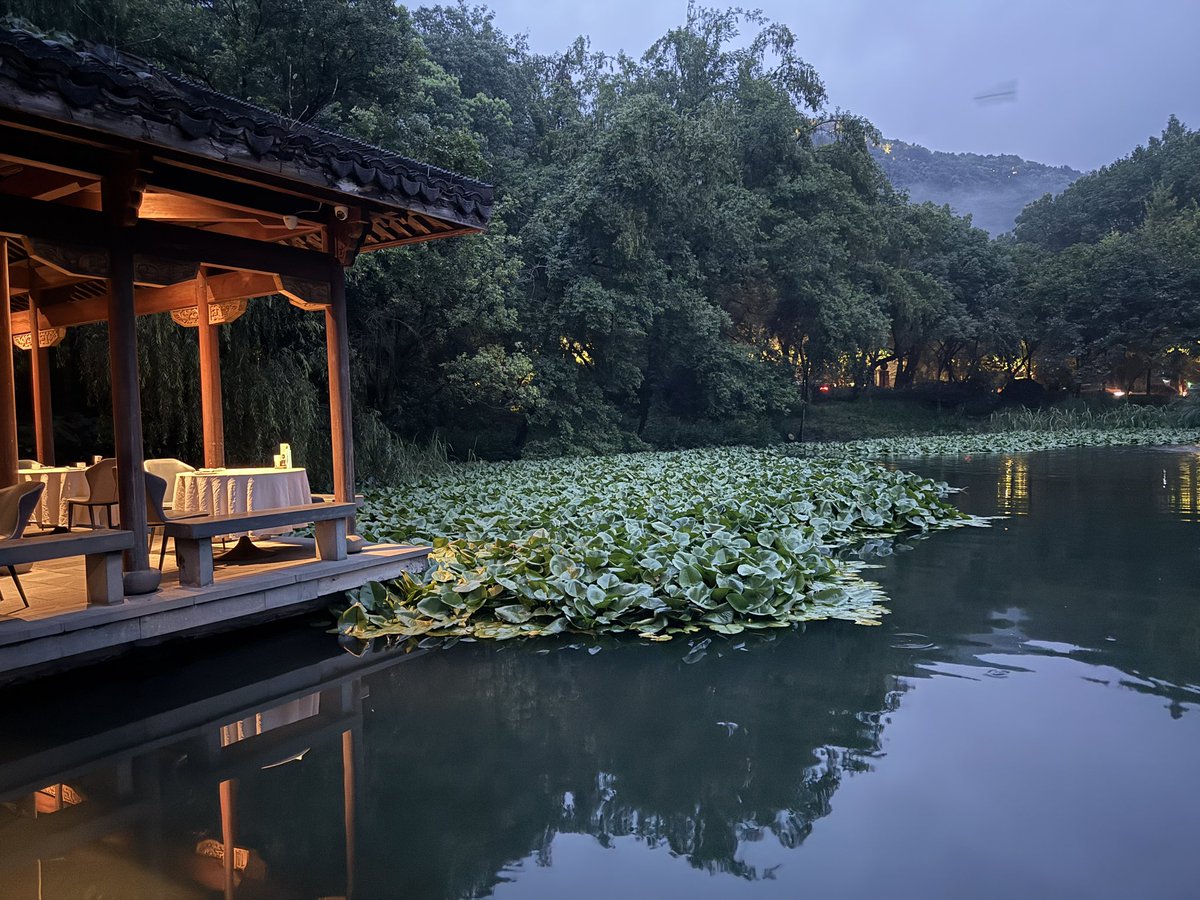 Shresthanyl's tweet image. ❇️Absolute honor to be invited to Hangzhou, Zhejiang Provincial Hospital for a course on “Suction in the treatment of Renal stones”. Wonderful operation theaters
✅Truely impressive leadership of Prof Yu Weiwen-An amazing female urologist of the province & China
✅Great memories!