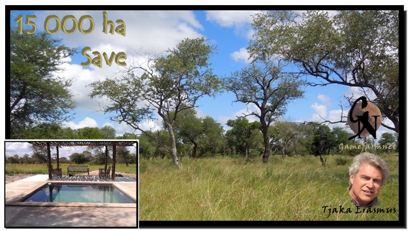 Gamefarmnet321's tweet photo. Bushveld on a large river! R4,5m. 15 000 ha. Mozambique. Basic accommodation. Cattle; Small game &amp; predators (Leopard; Lynx; etc). Great variety of birdlife.
https://t.co/eLhKkraTKa

#gamefarmnet 
#farm4sale  
#wildlifefarm4sale 
#wildlife 
#nature https://t.co/glCQzFgd3w