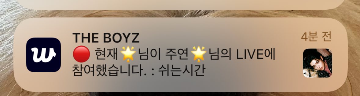 아니너문놀라서 캡쳐해놈