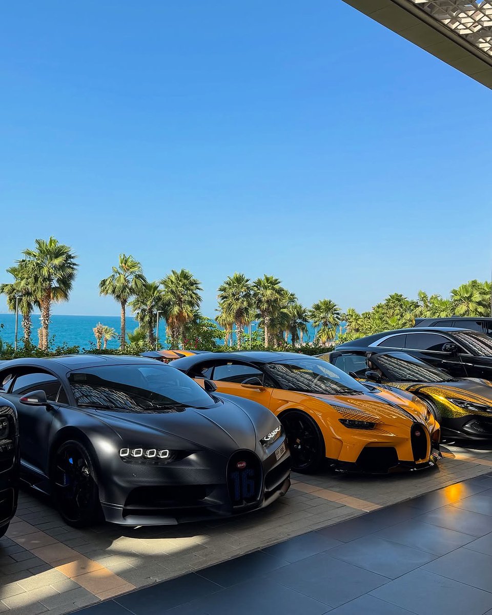 0xBonke's tweet photo. Gm everyone✨
Cheers to those showing up daily🥂 @surfai

Can I get a gm? https://t.co/r491DJQ4NH