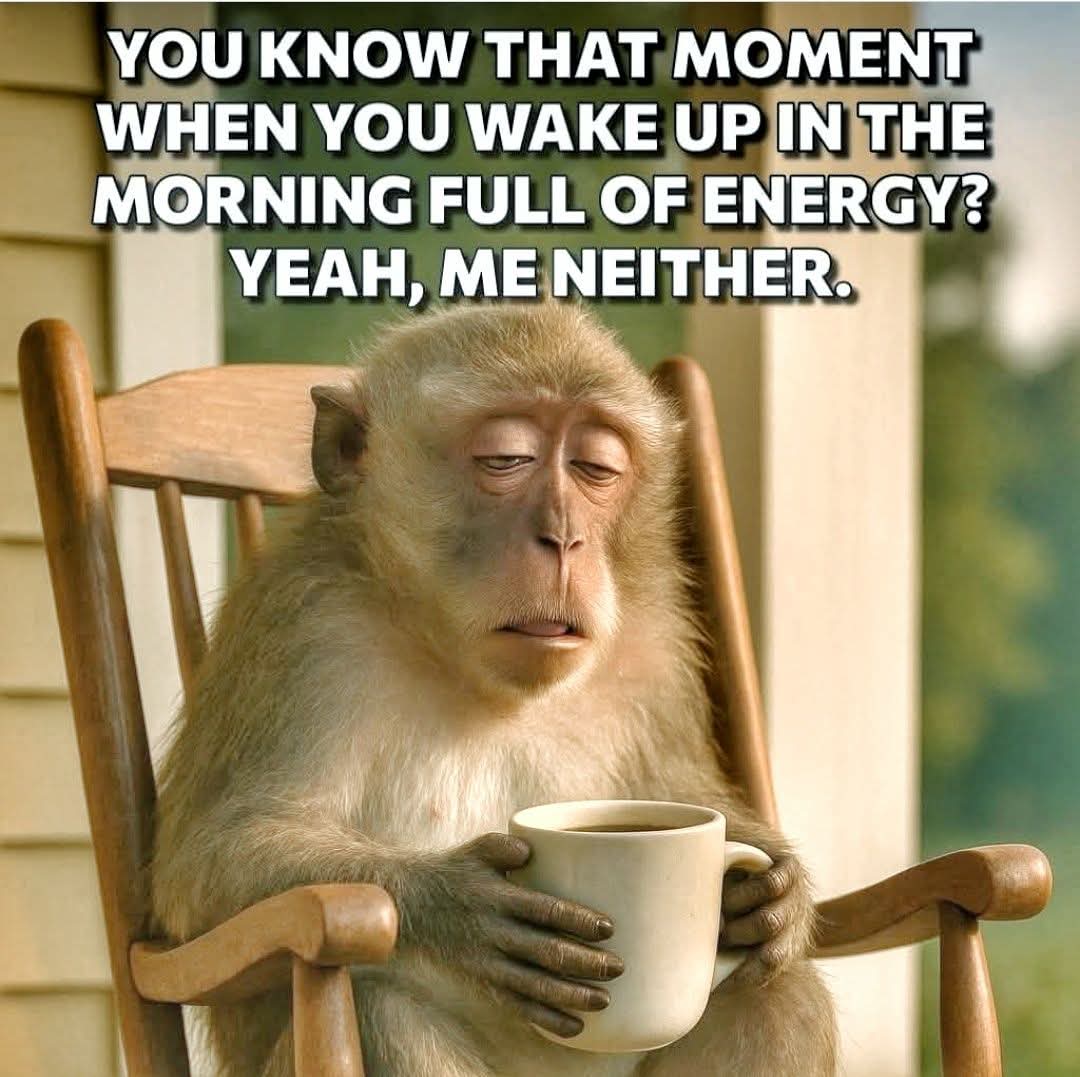 Good morning ☕ have a good and safe day ☀️😎