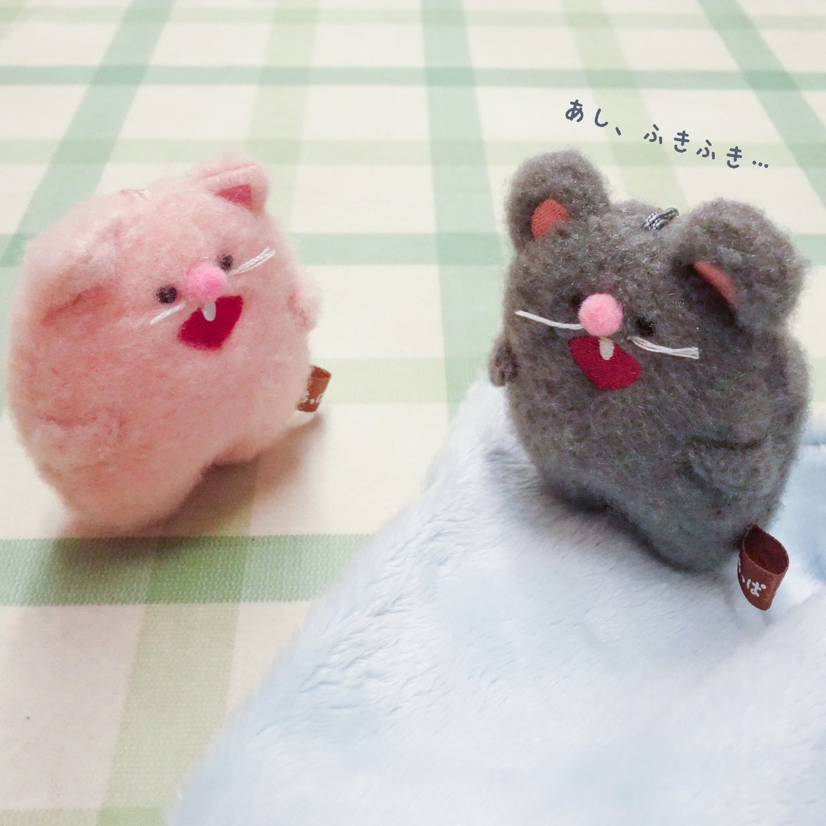 naito_design's tweet image. みんなが心配してるよー!と保護。
あんよが濡れてしまうので、おうちのぽちっぱたちはマネをしないようにしてくださいね🐭☔
#ぽちっぱ