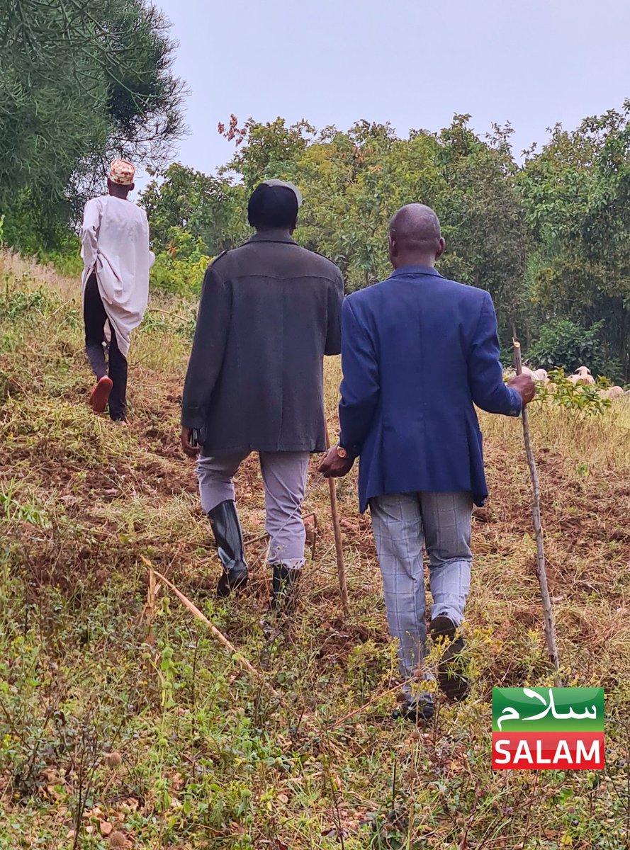 Salam TV Uganda (@salamtvug) on Twitter photo Salam Charity MD <a href="/HajjiKaliisa/">Karim Kaliisa</a> conducts a field survey to identify areas for sustainable projects that can benefit Ugandan Imams for a brighter future.
#SalamCharityUg #SalamUpdates Salam Charity MD <a href="/HajjiKaliisa/">Karim Kaliisa</a> conducts a field survey to identify areas for sustainable projects that can benefit Ugandan Imams for a brighter future.
#SalamCharityUg #SalamUpdates