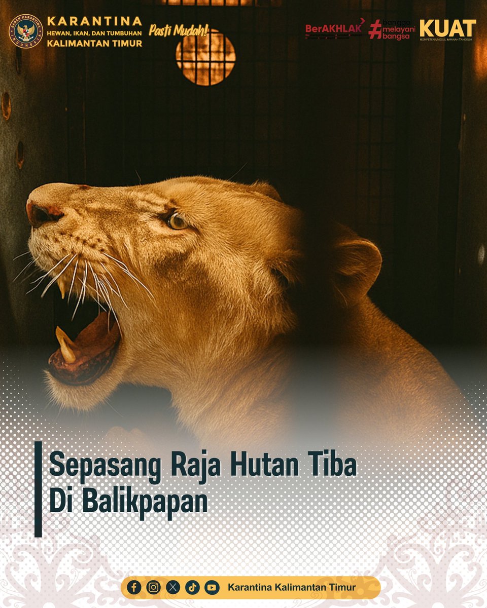 KarantinaKaltim's tweet photo. Sepasang Raja Hutan Tiba Di Balikpapan https://t.co/373GyDe05C