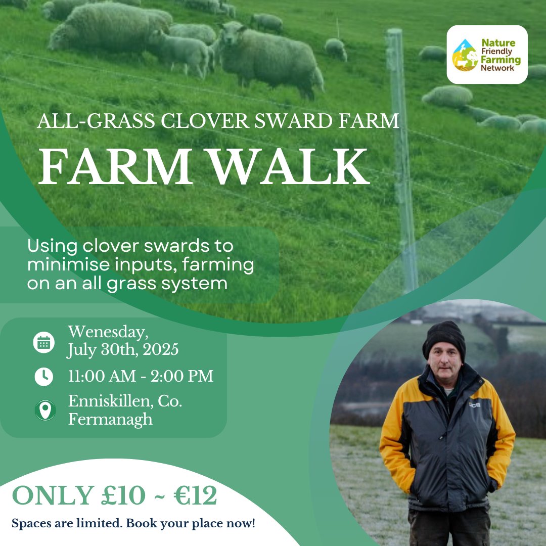 farmfornature's tweet image. 🌿 Farm Walk with Roy Mayer – July 30, Co. Fermanagh
See how multi-species & clover swards help reduce inputs while boosting biodiversity 🌱🐄
📍 Enniskillen | 🕚 11AM
🎟️ £10 / €12 – Book Today!
🔗 tickettailor.com/events/farming…
#FarmWalks2025 #FarmingForNature #SharedIslandInitiative