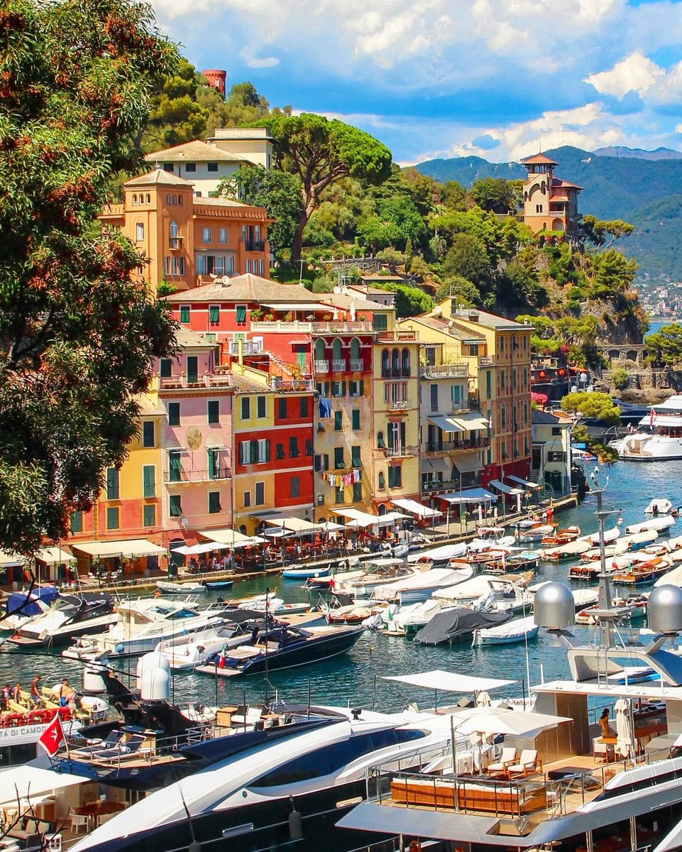 Portofino, Italy 

By: andiamo_sergio