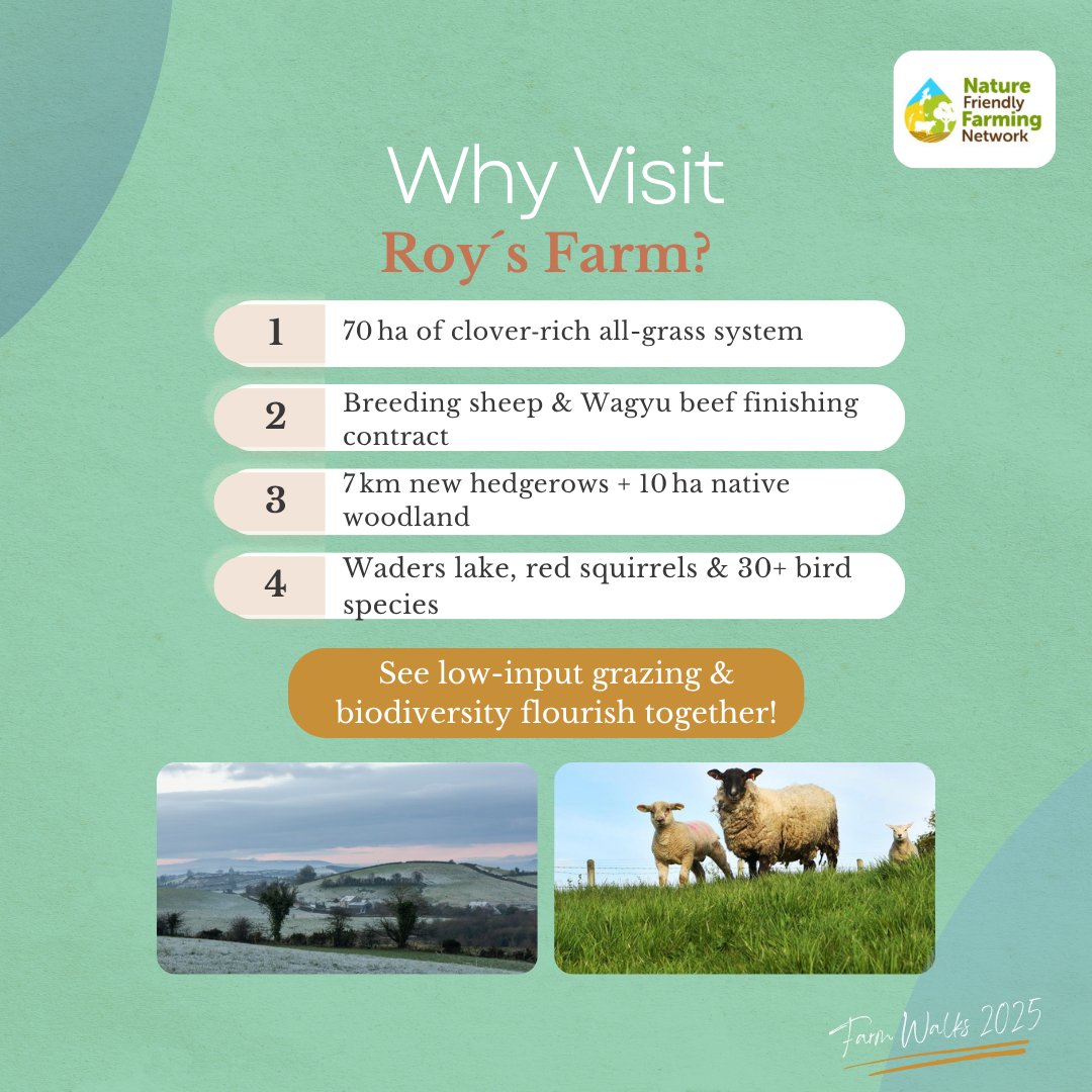 farmfornature's tweet image. 🌿 Farm Walk with Roy Mayer – July 30, Co. Fermanagh
See how multi-species & clover swards help reduce inputs while boosting biodiversity 🌱🐄
📍 Enniskillen | 🕚 11AM
🎟️ £10 / €12 – Book Today!
🔗 tickettailor.com/events/farming…
#FarmWalks2025 #FarmingForNature #SharedIslandInitiative