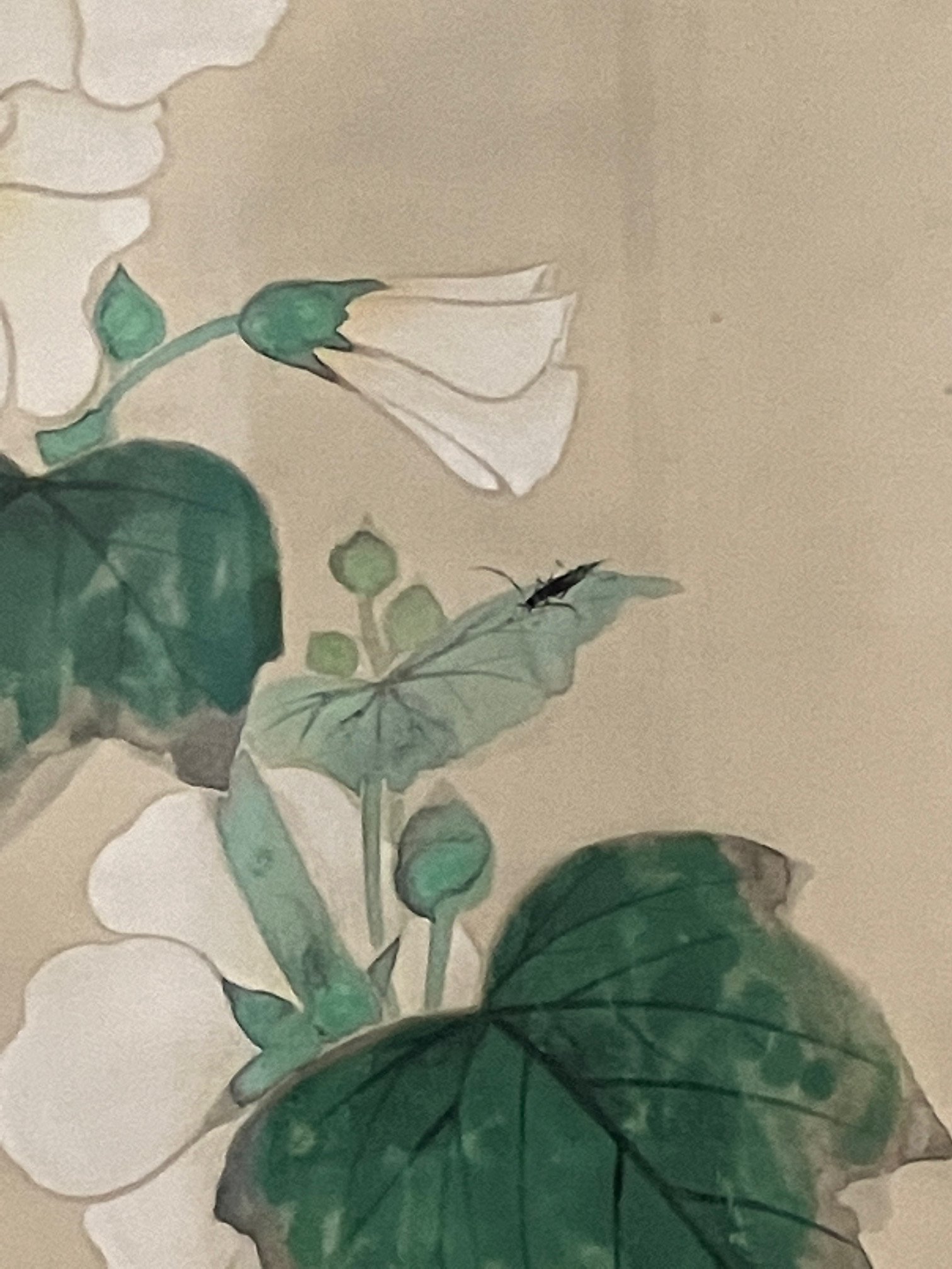 山口 蓬春/椿、限定・高級額装用画、サイン入、希少、新品額付 山口 蓬春/椿、限定・高級額装用画、サイン入、希少、新品額付