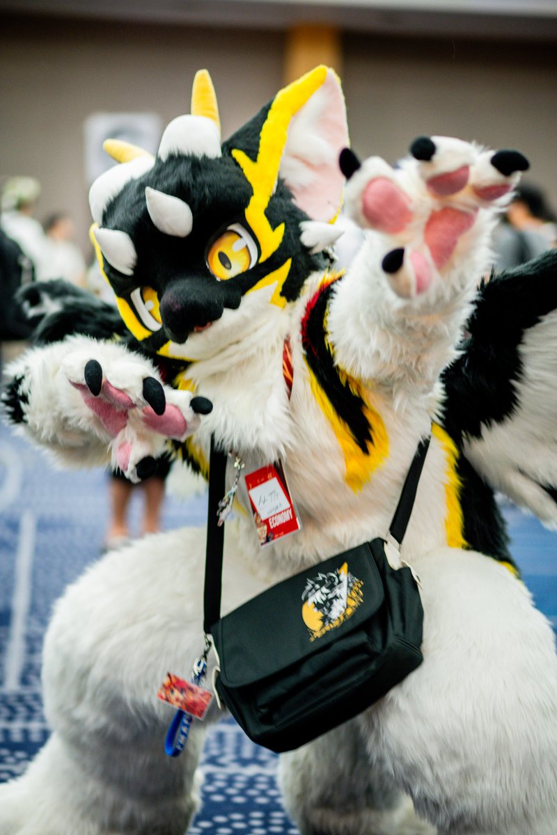 #FursuitEveryday 
#FURSTCLASS

운동하니까 조금 더 역동적인 포즈가 
가능해졌어! 으하하 성과가 있다구?!

배 사이즈는 크게 줄어든거같진않지만...

📸 <a href="/wolfroof/">うぇあ/ware</a>