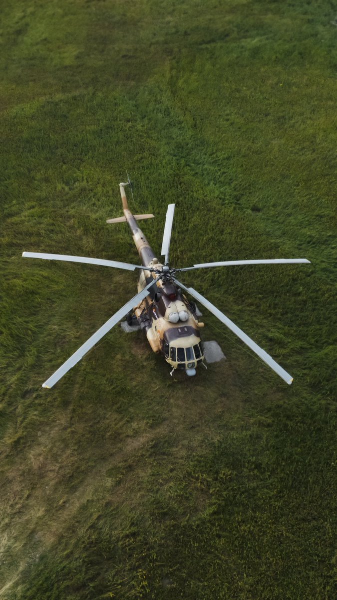 ilim karypbek tweet media