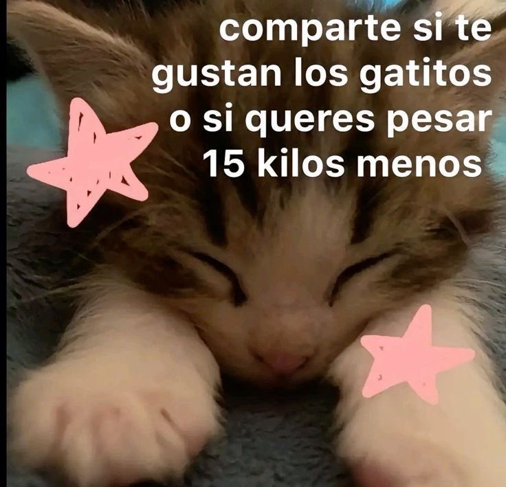 #edtw #edtwtㅤ