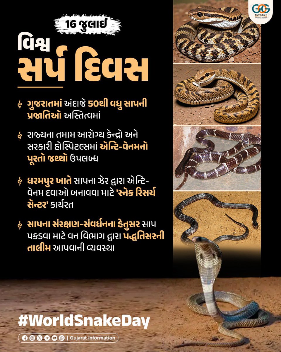 On this #WorldSnakeDay, let’s take a moment to celebrate the fascinating world of snakes, nature’s silent guardians that play a crucial role in maintaining ecological balance.
