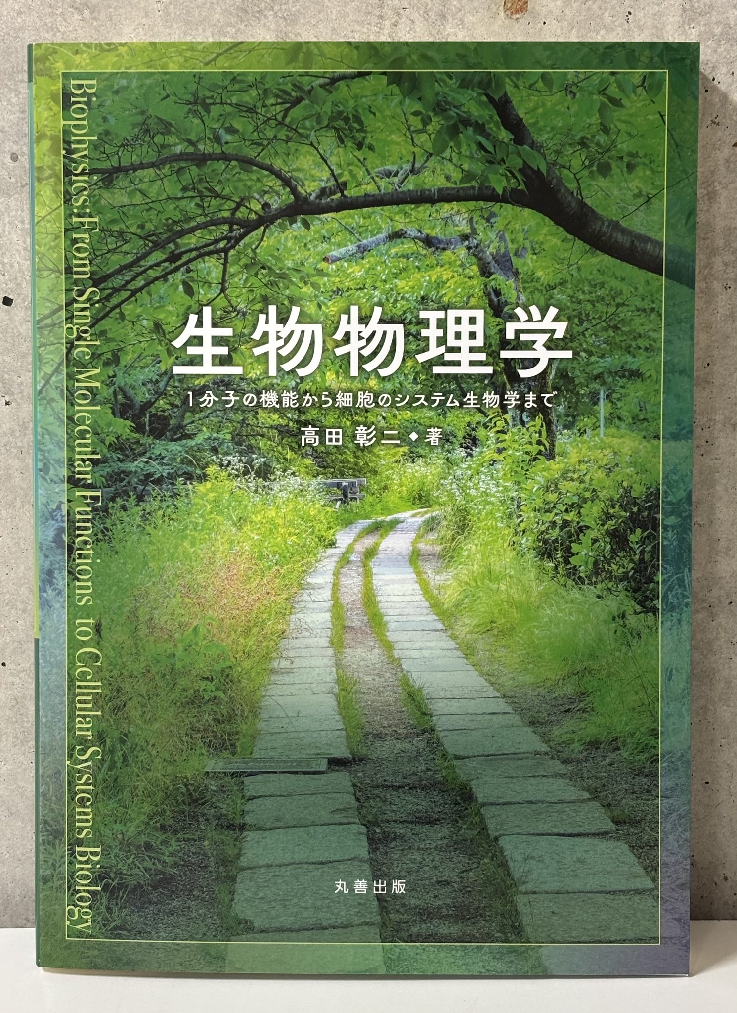 離散数学への招待  上 /丸善出版/イジ-・マトウシェク（単行本（ソフトカバー）） 離散数学への招待 上 - 丸善出版 理工・医学・人文社会科学の