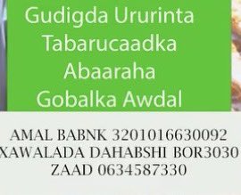 FuadCabdi's tweet image. A Severe Famine Is Devastating Awdal Region, Somaliland
Thousands of families in the Awdal region are now facing crisis levels of hunger. The rains have failed. Crops have withered. Livestock are dying. And children our most vulnerable, are at risk of dying without immediate…