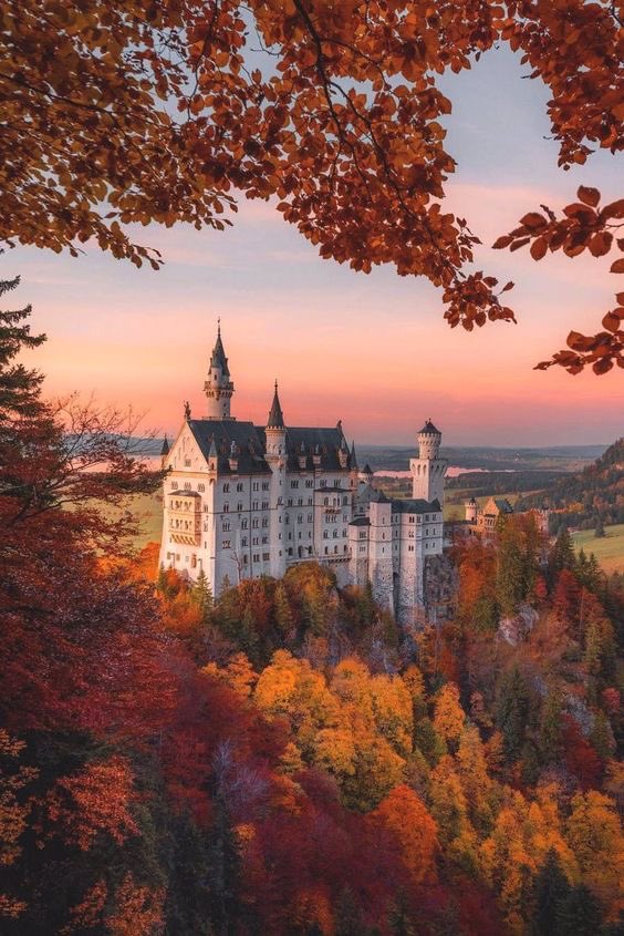 Mystic Castle (@mysticcastie) on Twitter photo 