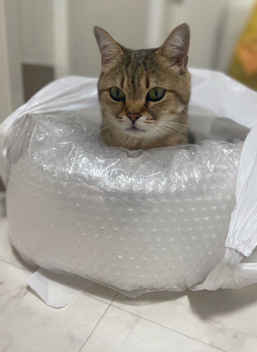 作品発送もう少々お待ちください。すみません🙇