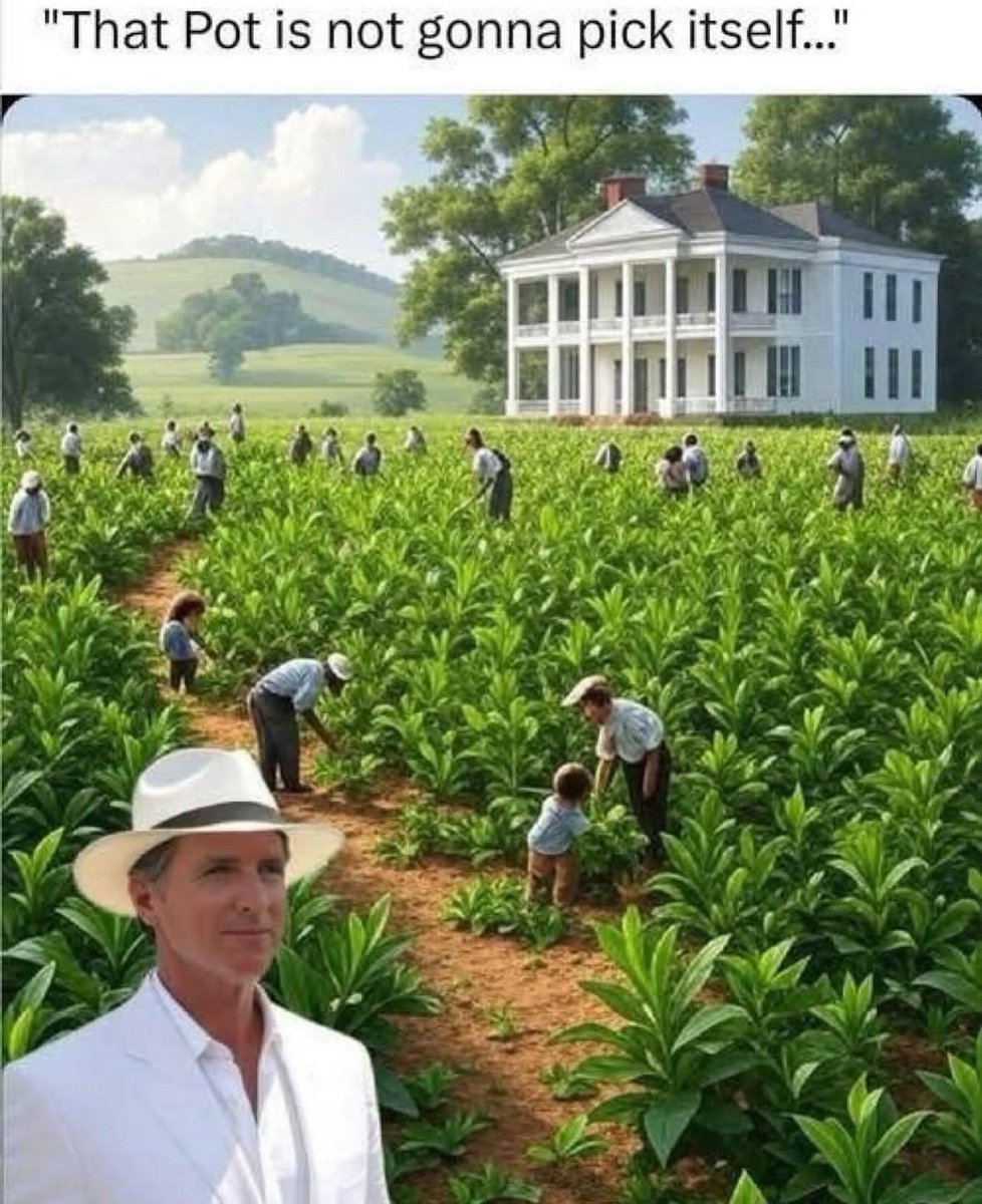 Gavin Newscums mourning his slave labor, it is important that during this time we give him space 😔