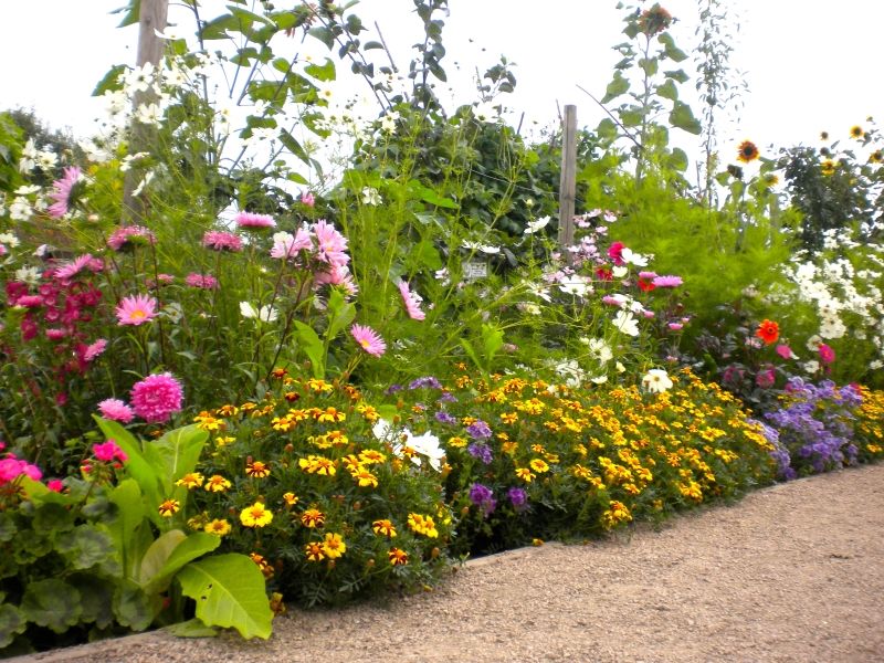 WarksNGS's tweet photo. Guy's Cliffe Walled Garden in Warwick is open to visitors for the National Garden Scheme this Sunday - there's plenty to enjoy!

Guy's Cliffe Walled Garden, CV34 5FJ
Sunday 20th July, 10.30 - 3.30pm
Admission £4.50, children free
Refreshments available!

https://t.co/y3Mo1wsFxe https://t.co/kEQyslrvZL