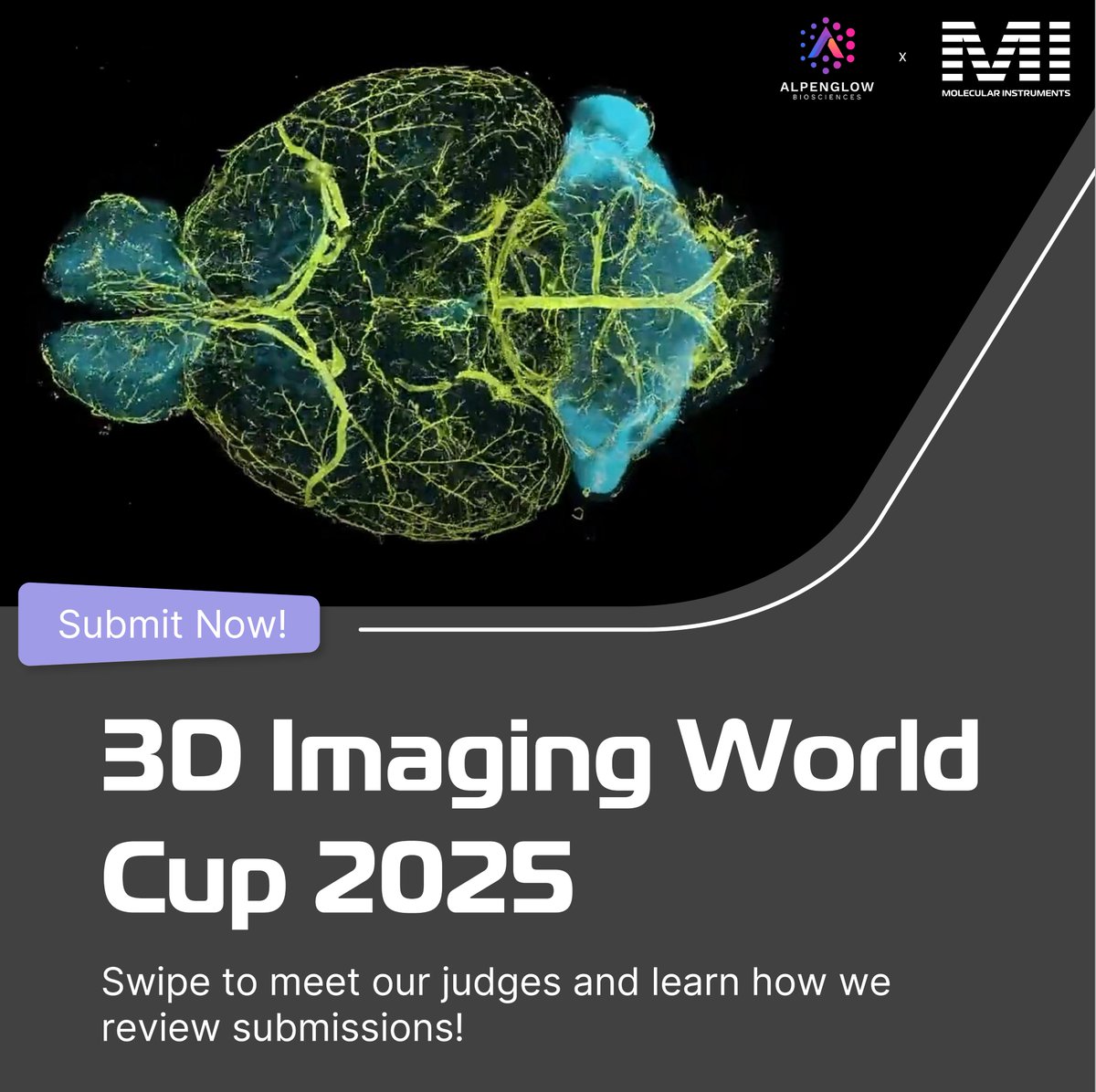 HCRimaging's tweet image. It’s time to meet the judges! We’re excited to introduce our panel of scientific experts representing diverse fields. These leaders will be reviewing all entries anonymously and casting their votes to determine the 2025 3D Imaging World Cup’s finalists.
Swipe to explore our…