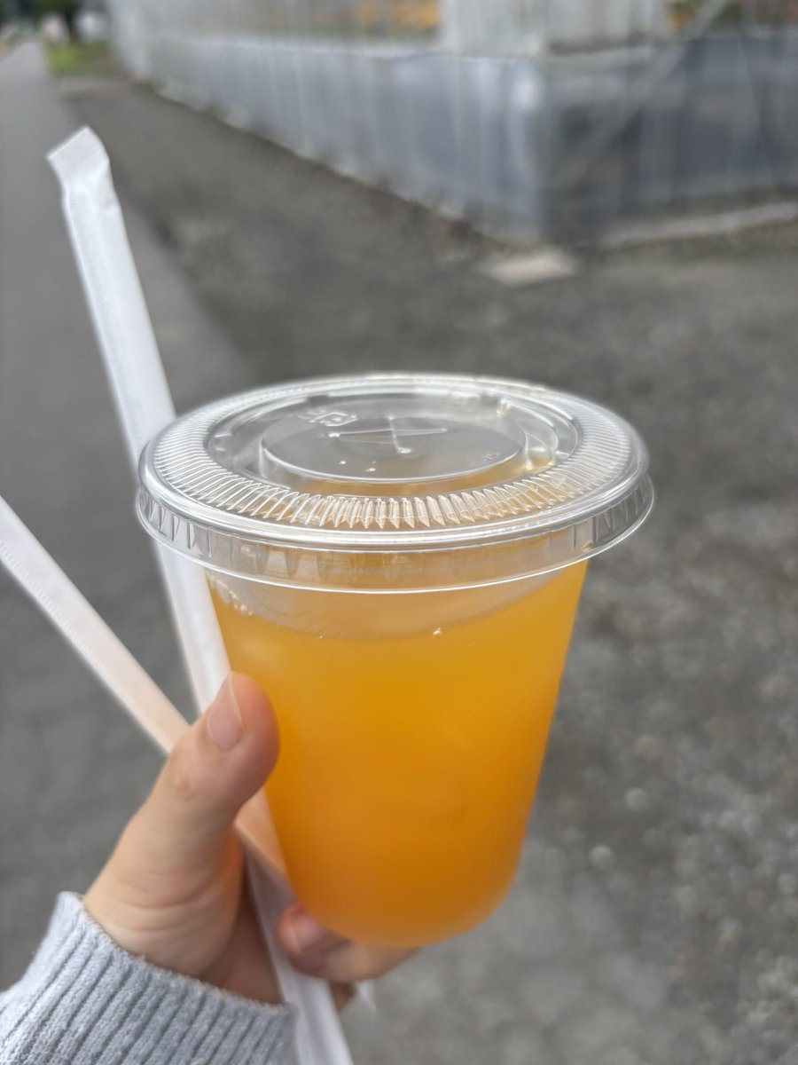 ノーパンノーブラあんず祭り！