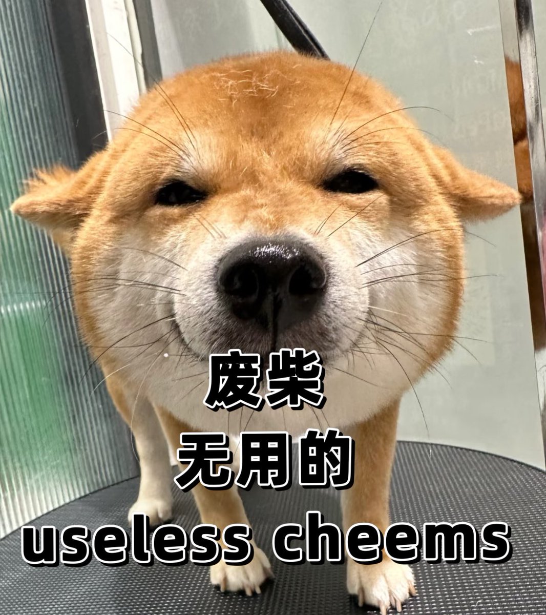 废柴(@FeichaiDog) / Posts / X