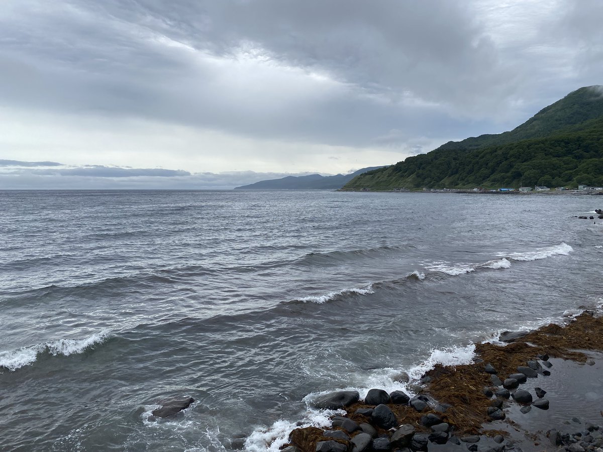 rusafieldhouse's tweet image. 台風は去りましたがまだまだ南風強く、加えて予想外の雨降り。それでも今日から夏限定のバス、相泊まで運行開始です。素朴なバス停が羅臼の風景に良く合います。