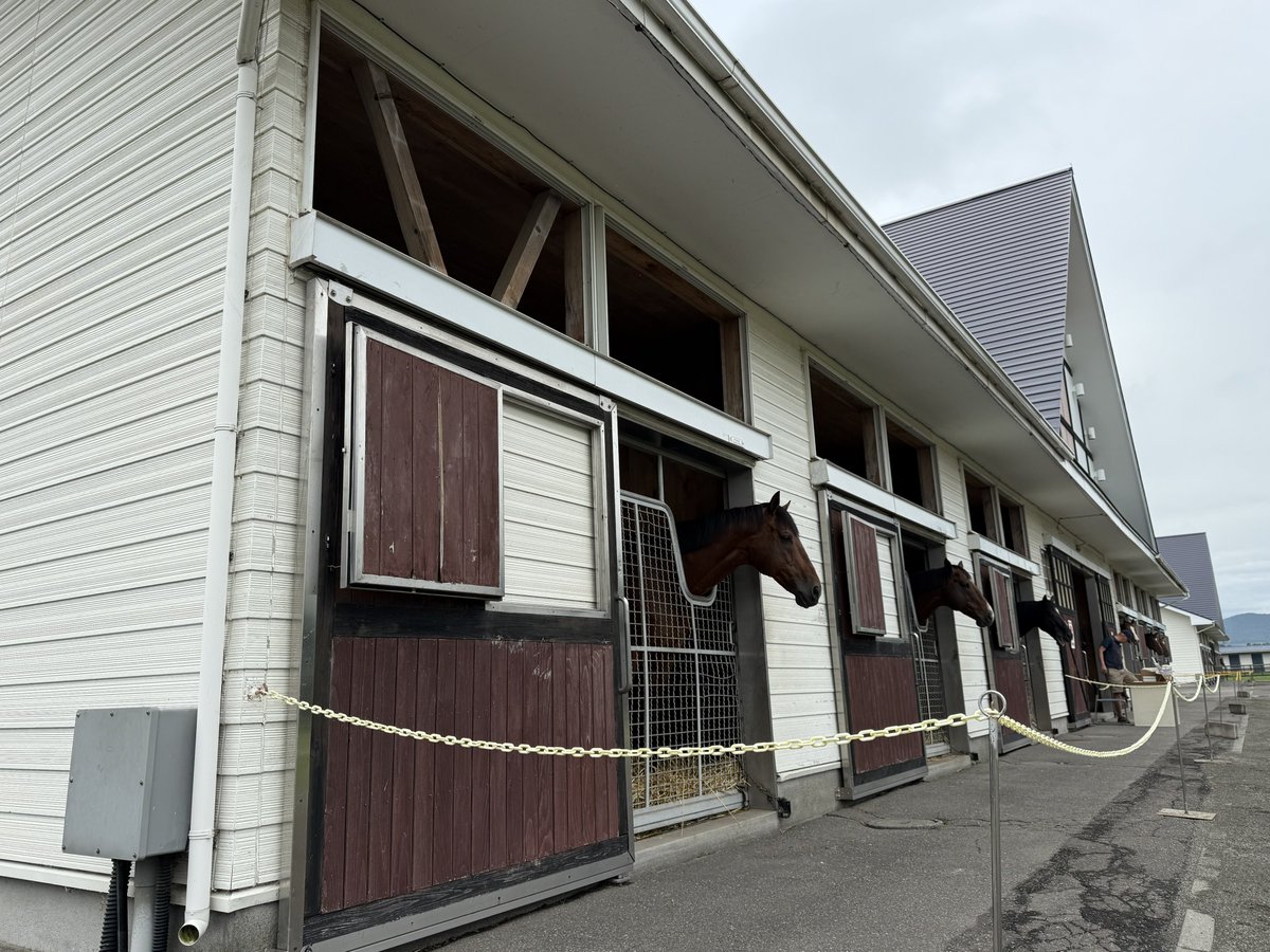 arrowstud_staff's tweet image. 【見学初日】
ジメジメなお天気でしたがご来場頂いた皆様ありがとうございました!
今後来場を検討されている方は暑さ対策をしてお越しください!
#見学初日
#アロースタッド