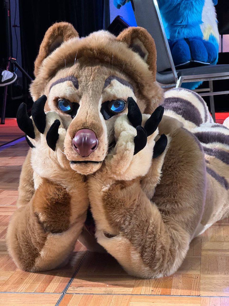 FurLifeDrawing's tweet image. Loved this pose from @DawnyAussie 💖
#aurawra #aurawra24 #aurawra2024 #furry #fursuit #furryart