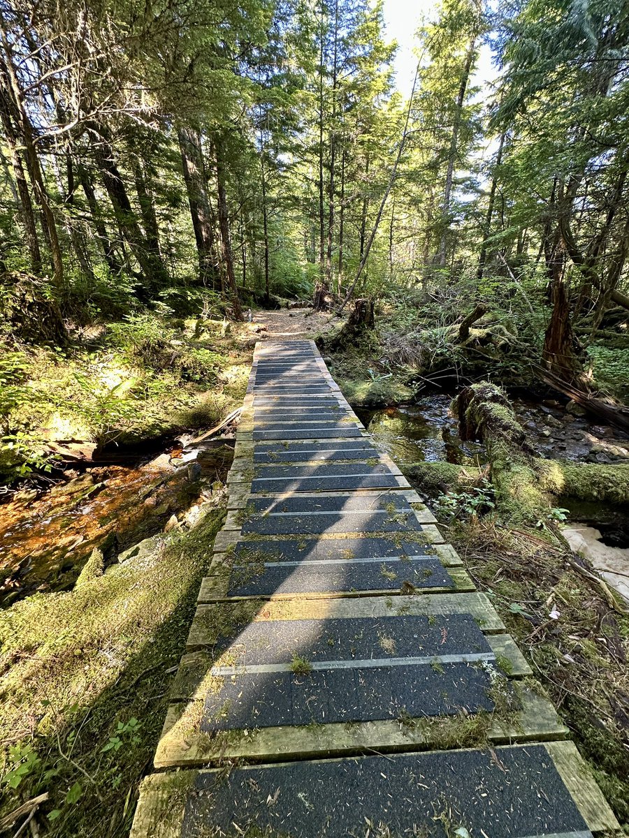 Stephen Hui tweet media