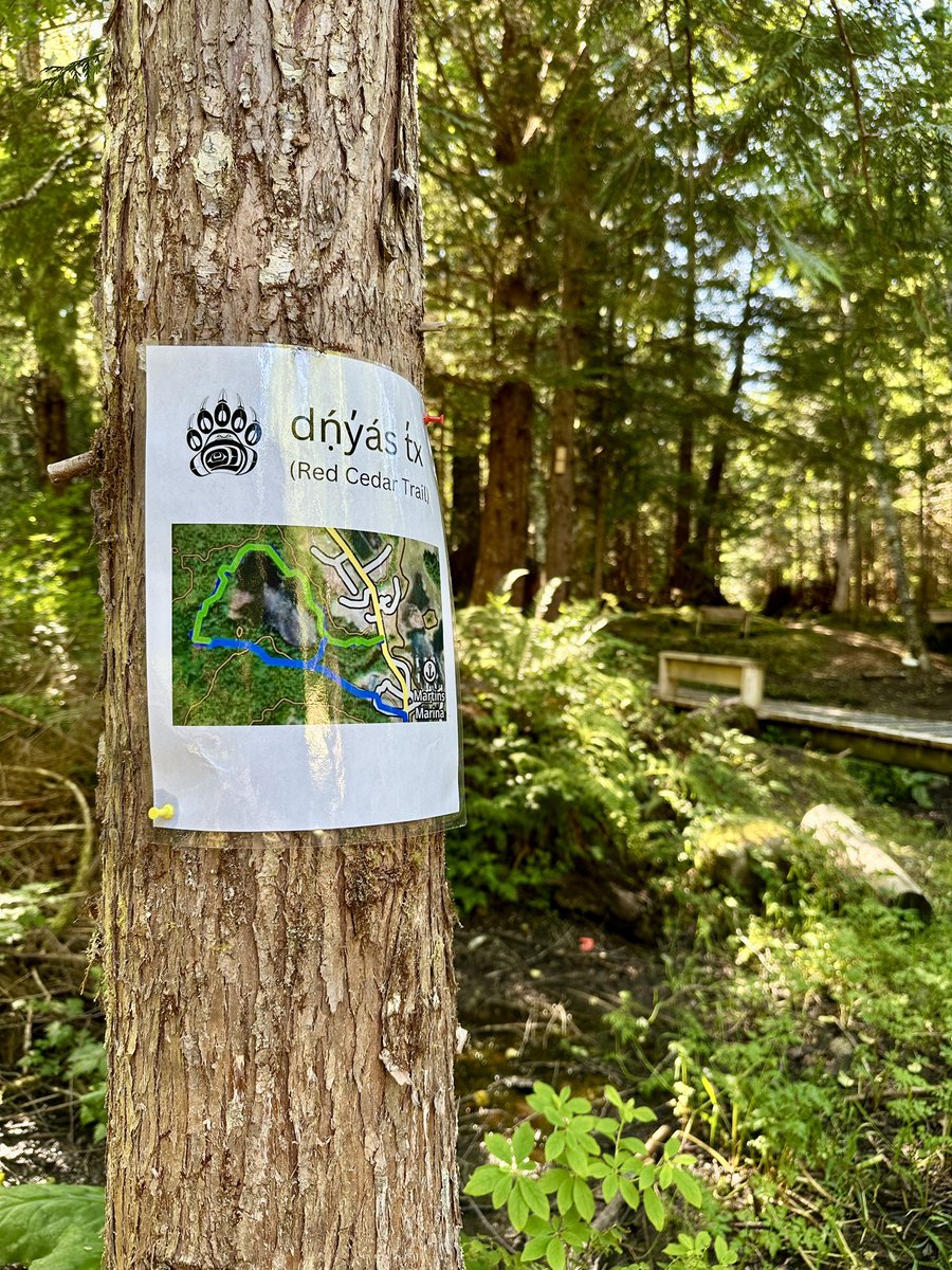 Stephen Hui tweet media