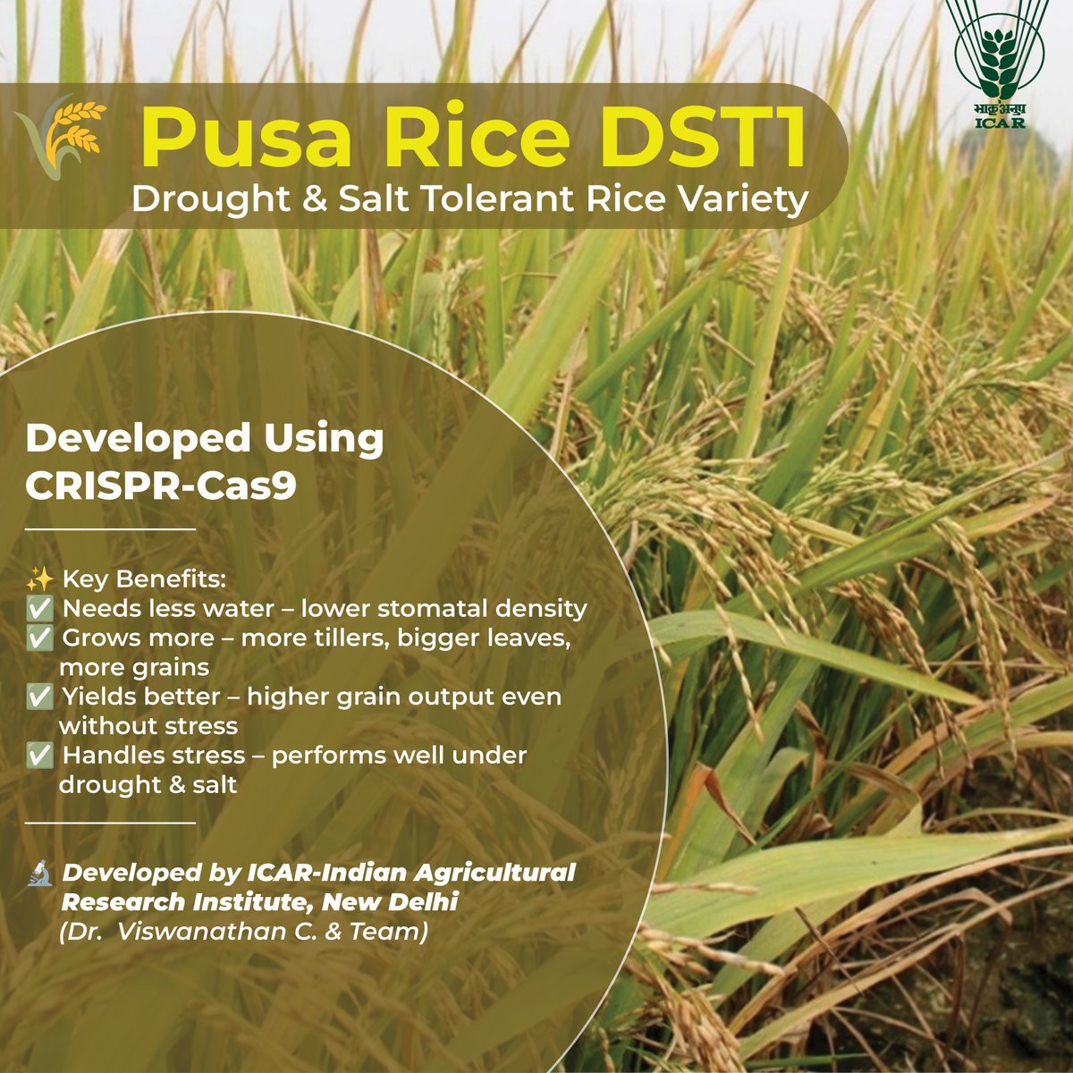 Makeshkumar tweet media