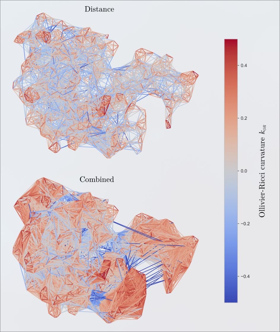 Daniel Probst @skepteis@skepteis.social (@skepteis) on Twitter photo .<a href="/PengkangG/">Pengkang Guo</a> is at #ICML2025 with our paper on "Boosting Protein Graph Representations through Static-Dynamic Fusion". If you're around and want to step by:
Location: West Exhibition Hall B2-B3 hashtag#W-114 Time: Wednesday, July 16, 4:30 p.m. - 7 p.m. PDT .<a href="/PengkangG/">Pengkang Guo</a> is at #ICML2025 with our paper on "Boosting Protein Graph Representations through Static-Dynamic Fusion". If you're around and want to step by:
Location: West Exhibition Hall B2-B3 hashtag#W-114 Time: Wednesday, July 16, 4:30 p.m. - 7 p.m. PDT