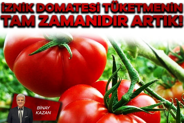 İznik domatesi tüketmenin tam zamanıdır artık!

Yazıyı oku---&gt; tinyurl.com/8kfahzay