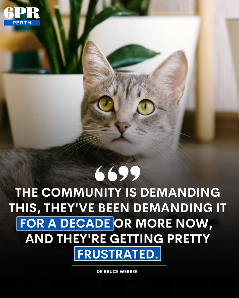 6PR Perth (@6pr) on Twitter photo Dr Bruce Webber says change is well overdue for Western Australia to enable and encourage local cat laws that enable permanent containment for pet cats.
MORE: nine.social/Zrn Dr Bruce Webber says change is well overdue for Western Australia to enable and encourage local cat laws that enable permanent containment for pet cats.
MORE: nine.social/Zrn