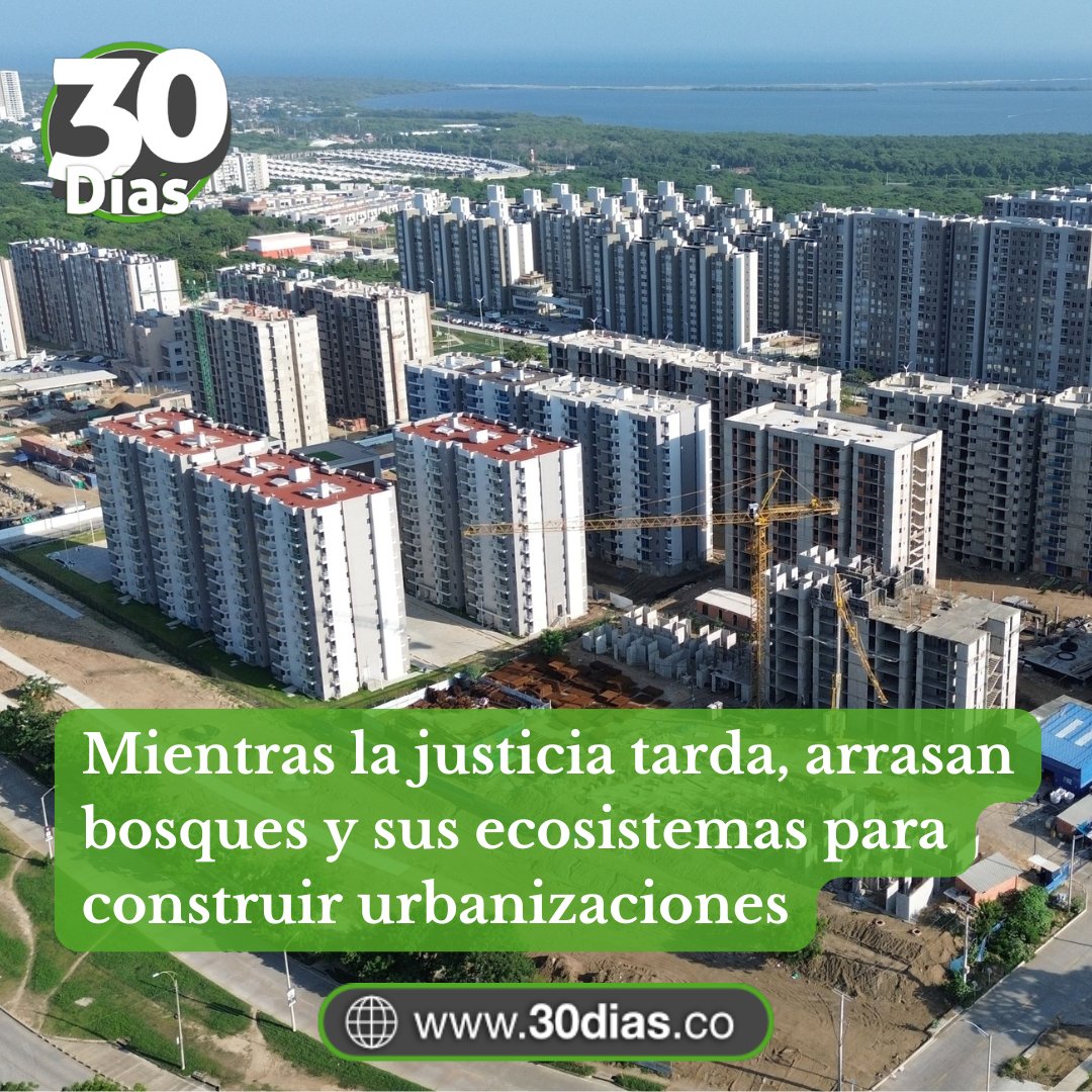 ANÁLISIS 🔠
La urbanización del bosque seco tropical en la cuenca de Mallorquín sigue destruyendo parajes únicos de nuestra Costa Caribe, denuncia el ex vicepresidente de la República Gustavo Bell Lemus en su columna «Al menos… una constancia romántica».

30dias.co/mientras-la-ju…