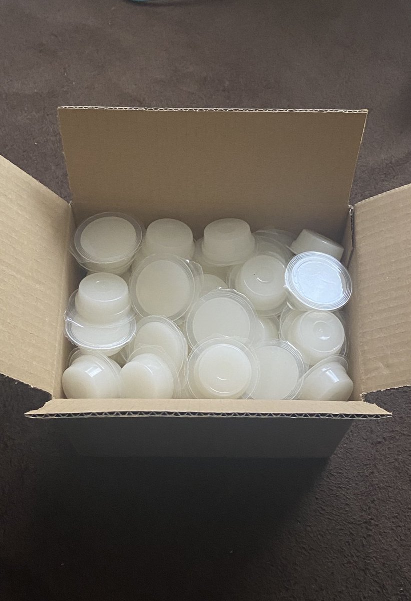 プライムデーに昆虫ゼリー100個買ったわ