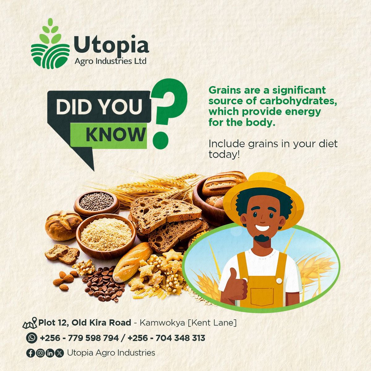 UtopiaAgro's tweet image. Yes, grains are a significant source of carbohydrates in many diets.
Carbohydrates are a vital macronutrient that provides the body with energy.
Grains, including both whole and refined varieties, offer a range of carbohydrates.
#Grains #CarbohydratesSource