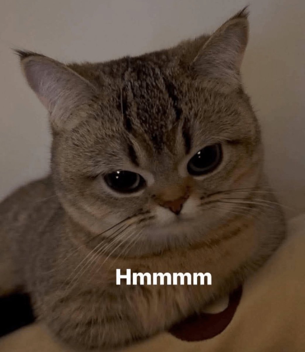 mabiwiz's tweet image. quick question
did you really become a content creator because it was your dream or was it just another quick money grab in web3?