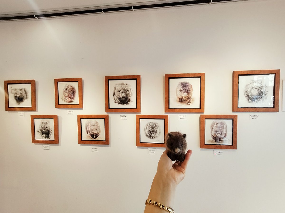 ウォンバット展2
見に行かせていただきました
カラーの絵も可愛らしく魅入ってしまいました
今回は羊毛ワインさんと共に💖

<a href="/eshi_yamamoto/">ILLUSTRATION YAMAMOTO</a> さん
素敵な絵を
ありがとうございました
次回を楽しみにしております

#ウォンバット #五月山動物園 #アクリル画 #ギャラリー糸
