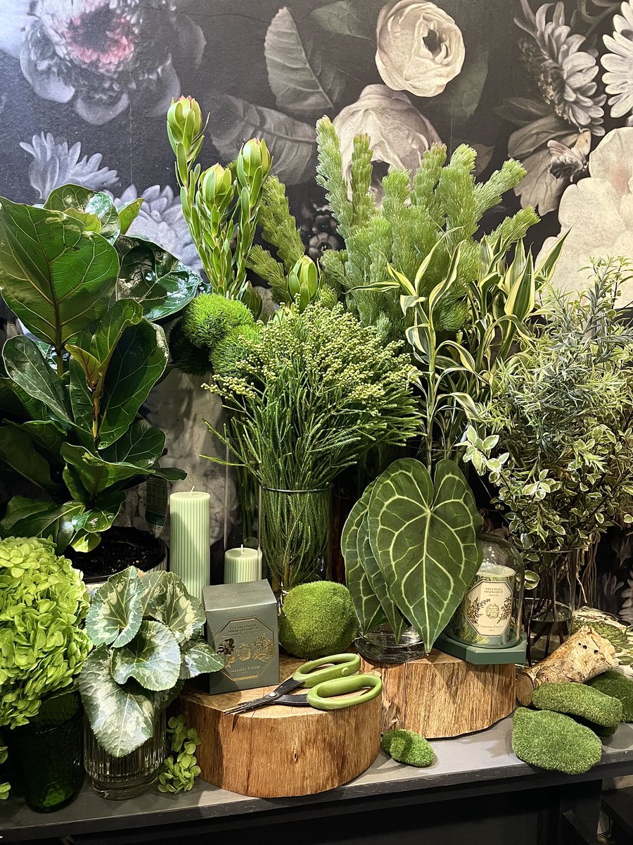 AveryEvents's tweet image. G R E E N