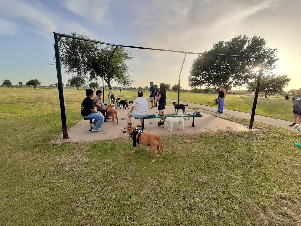 EltonSherrif's tweet image. Meanwhile, mommy got her pool makeup done & it's now Tahoe Blue💦, but I don't like it as da water is very clean & not smelly at all. Da other pic is showing I with some buddies in da big dogpark, that daddy brings I in da evening. We hope y'all are well & happy🙏🐾🚔🐕💞