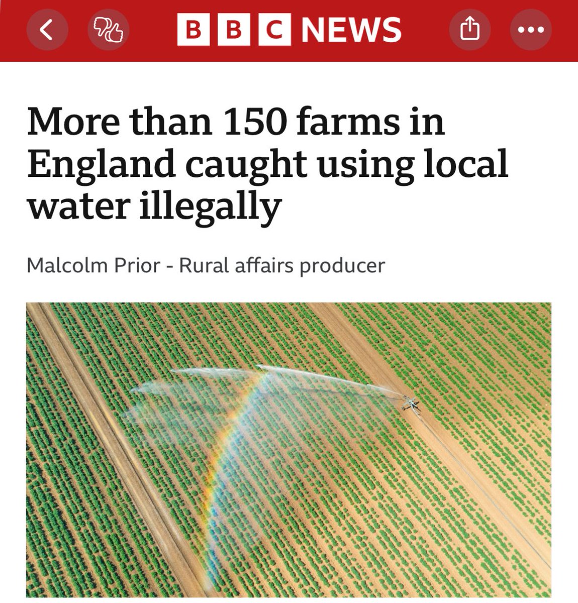 gow_derek's tweet image. As the rivers run dry yet again NE have just informed me that they can't yet make up their minds about a beaver EOI I have assisted. So while riparian life dwindles and dies the one natural solution we could rely on for centuries to come remains forbidden.