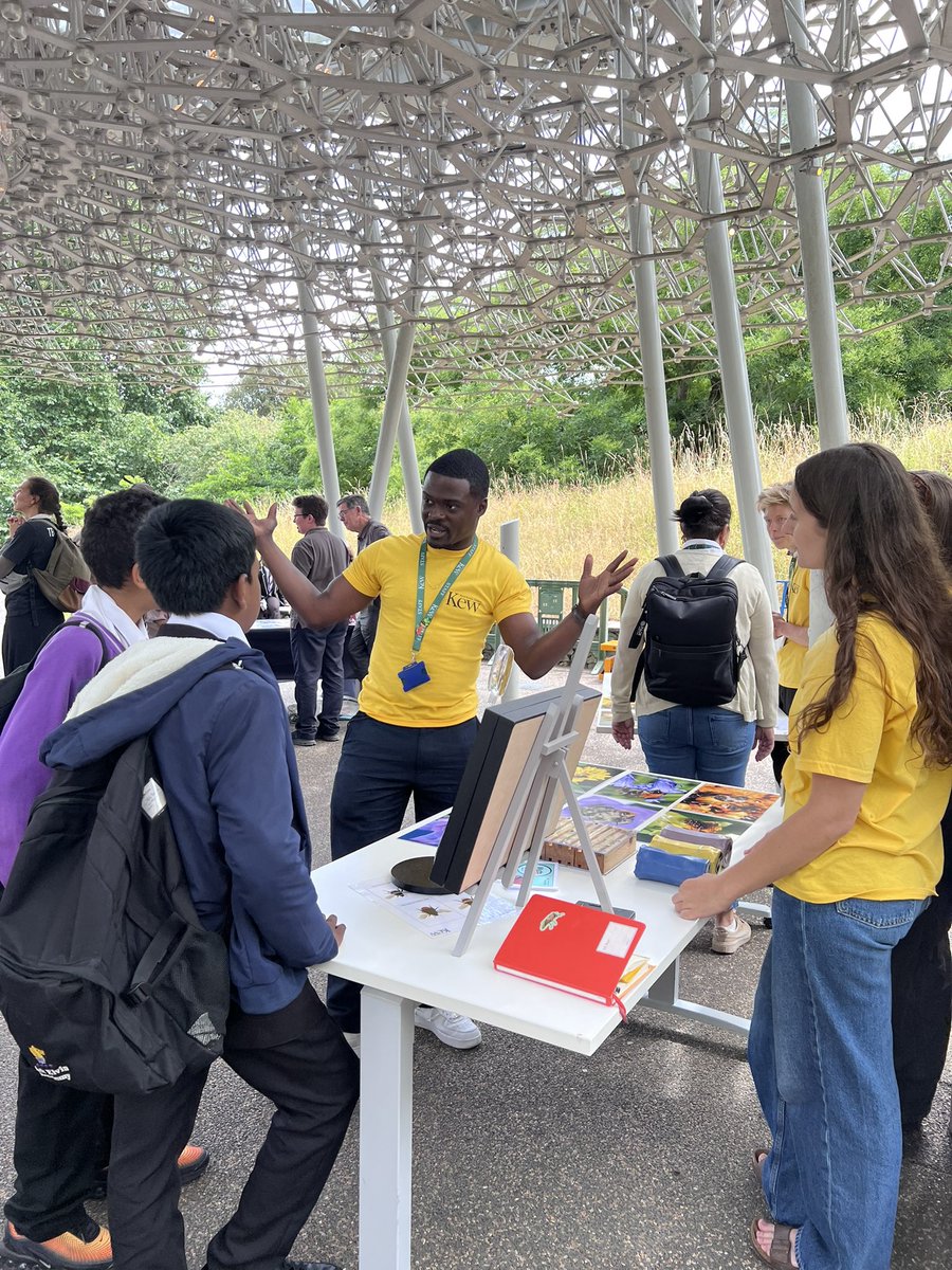 Phil Stevenson (@chickpeaman) on Twitter photo Yesterday we welcomed Enviro minister <a href="/MaryCreagh_/">Mary Creagh CBE MP</a> to Kew for <a href="/DefraGovUK/">Defra UK</a>’s #beesneedsweek2025 busting myths & sharing our research about bees & other pollinators with Kew visitors along with our partners on the day <a href="/UK_CEH/">UK Centre for Ecology & Hydrology</a> & <a href="/UniofReading/">Uni of Reading</a> thanks to everyone who contributed. Yesterday we welcomed Enviro minister <a href="/MaryCreagh_/">Mary Creagh CBE MP</a> to Kew for <a href="/DefraGovUK/">Defra UK</a>’s #beesneedsweek2025 busting myths & sharing our research about bees & other pollinators with Kew visitors along with our partners on the day <a href="/UK_CEH/">UK Centre for Ecology & Hydrology</a> & <a href="/UniofReading/">Uni of Reading</a> thanks to everyone who contributed.
